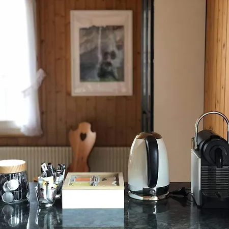 World-famous Valley View King Bed & Laundry Apartment Lauterbrunnen