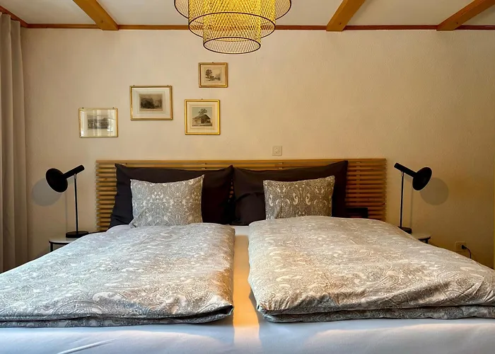 The Best Valley View-Swiss Charm-Free Parking Apartman *