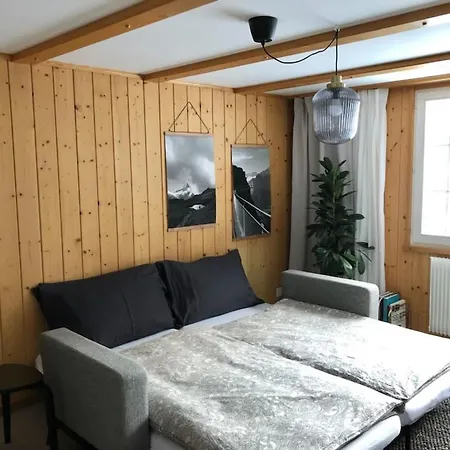 Pironnet With Views, Charm And Comfort! Apartment *